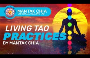 Living Tao Practices by Mantak Chia