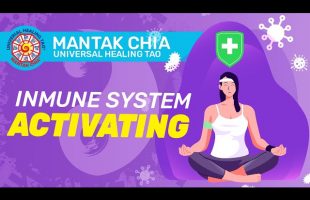 How to Activate the Immune System by Mantak chia