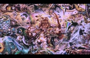 Terence McKennas Plea To Scientists (Movie Excerpt)