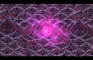 Terence Mckenna’s Final Reflection on the Self