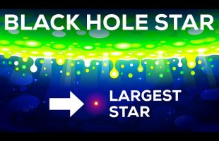 Black Hole Star – The Star That Shouldn’t Exist