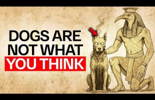 Thoth’s PROPHECY About Dogs Is HAPPENING NOW (it’s better than expected)