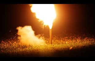 Making Fireworks out of Bamboo, Sulfur, Potassium Nitrate, and Charcoal