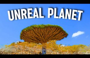 UNREAL PLANET | Places on earth that don’t feel Real #unrealplaces #traveldestinations #travel #4k