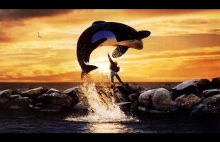 Free Willy (1993) | Ambient Soundscape