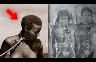 The Slaves Native Americans Don’t Want You To Know About