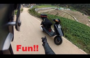 Yes! Scooters are actually fun