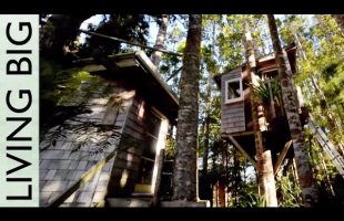 Incredible DIY Tiny Tree House Tour