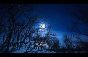 Unquenchable Thirst For Truth – Bill Cooper