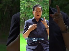 Taoist Breast Massage for Vitality and Inner Glow✨