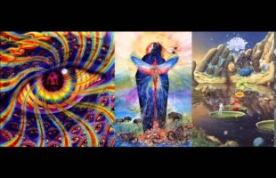 States of Mind and Hierarchies of Organism (Terence Mckenna, Ralph Abraham, Rupert Sheldrake)