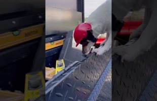 When you send the new guy to the truck to get a tool