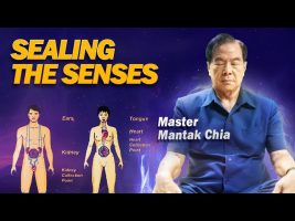 SEALING THE SENSES. Darkness Meditations Extract by Master Mantak Chia