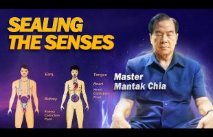 SEALING THE SENSES. Darkness Meditations Extract by Master Mantak Chia