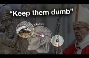 “CALCIFY THEM!”  (this is quite scary)