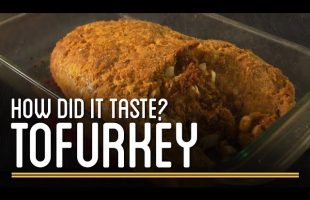 How Did the Tofurkey Taste?