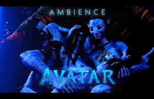 Avatar: The Way of Water | Fortress | Ambient Soundscape