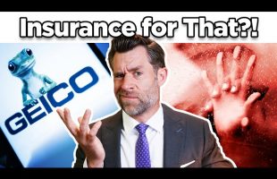 No, GEICO Isn’t Paying $5.2m for Car Sex (Probably)