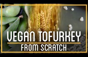 Thanksgiving Tofurkey From Scratch | How to Make Everything