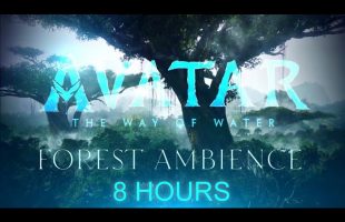 Avatar: The Way of Water | Forest | Ambient Soundscape | 8 Hours