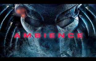 Predator | Jungle | Ambient Soundscape