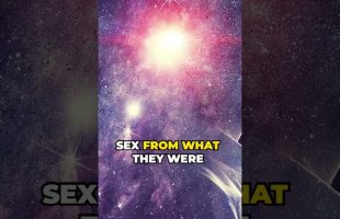 The Removal of Shared Reality