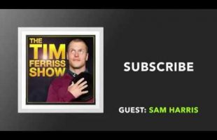 Sam Harris and Tim Ferriss Talk about Consciousness and Psychedelics