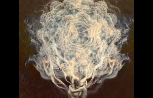 The Human Predicament (Terence Mckenna)