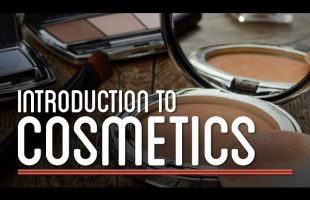 Diving into the World of Cosmetics | How to Make Everything
