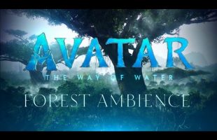 Avatar: The Way of Water | Forest | Ambient Soundscape