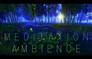 Meditation Series | Lunar New Year | Ambience