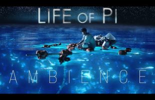 Life of Pi | Ambient Soundscape