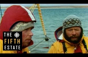 Sailing the Northwest Passage : Polar Passage (1986) – The Fifth Estate