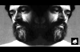 The Angel Within The Monkey (Terence McKenna)