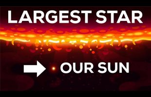 The Largest Star in the Universe – Size Comparison