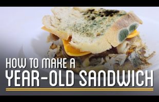 How to Make a Year-Old Edible Sandwich