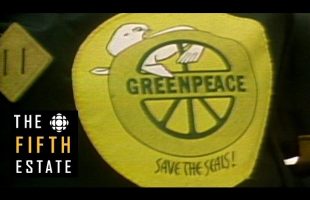 The early roots of Greenpeace : Bodies on the Line (1976) – The Fifth Estate