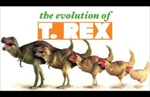 Dinosaurs Didn’t Exist