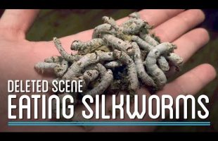 Eating Silkworms | HTME Deleted Scene