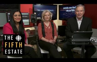 Q&A with Fifth Estate Hosts