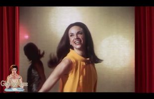 Gender Roles – How they Sold Women in the 1960’s