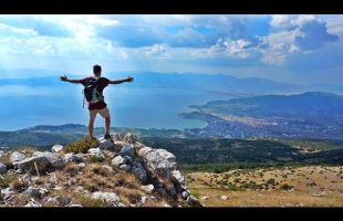 BAD STREET DOG ENCOUNTER – MACEDONIA