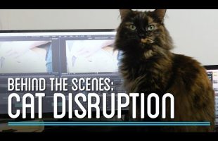 Cat Disruption | HTME: Behind the Scenes