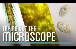 Trying Out the Microscope | How to Make Everything: Microscope