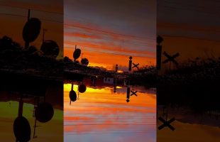 Looking at the sunset from a different angle