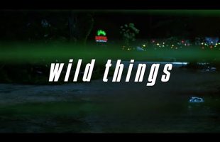 Wild Things (1998) | Ambient Soundscape