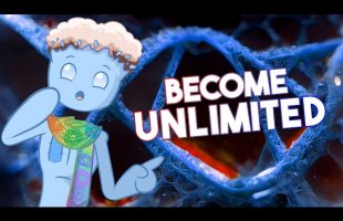 CODE12: Activate Your 12 Stranded DNA