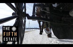 The Mennonite Drug Connection – the fifth estate