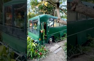 Artist’s Enchanting Bus Home ✨#tinyhouse #hometour