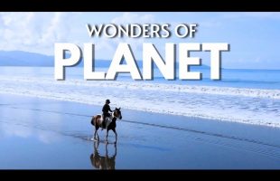 TRAVEL EXPERT | Shares Top 100 Beaches and Cities to Visit in 2024
